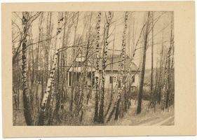 Ulmenhorst, Kreis Samland Ulmenhorst, Beobachtungshütte der Vogelwarte Rossitten 