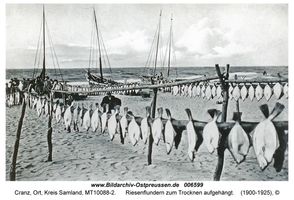 Cranz Kr. Samland, Ort, Kreis Samland 