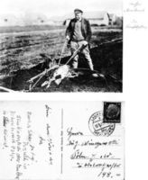  Großes Moosbruch, Häufelpflug Большое Мосбрух, окучник