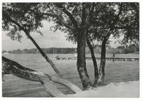 Osterode (Ostpr.), Kreis Osterode Osterode (Ostpr.), Am Drewenzsee X Osterode, Stadtmotive