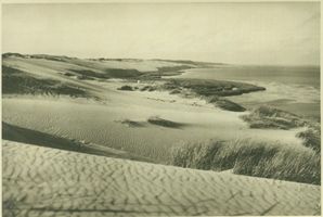  Kurische Nehrung, Dünenlandschaft Kurische Nehrung, Dünen