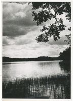  Johannisburger Heide, Waldsee III Йоханнисбургская пуща, лесное озеро, III