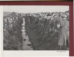 Altkirchen (Ostpr.), Kreis Ortelsburg Schwentainen, Urbarmachung von Ödland Швентайнен, освоение пустошей
