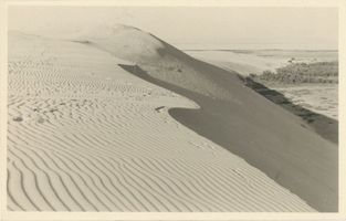  Kurische Nehrung, Wanderdüne am Kurischen Haff II Kurisches Haff
