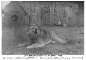 Dannenberg Kr. Elchniederung, Kreis Elchniederung 