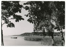 Schwarzort, Kreis Memel Schwarzort, Schilfufer II Шварцорт, тростниковый берег, II