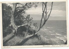 Warnicken, Kreis Samland Warnicken, Blick vom Königsstuhl IV 