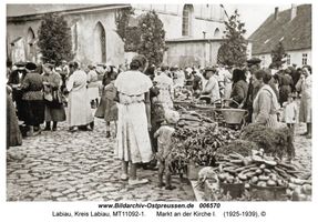 Labiau, Kreis Labiau 