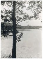 Wargen, Kreis Samland Wargen, Am Warger Teich III Варген, у Варгенского пруда, III