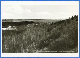 Rauschen Kr. Samland, Kreis Samland Rauschen Kr. Samland, Alte Bernsteinschlucht Раушен, р-н Самбия, Старое янтарное ущелье