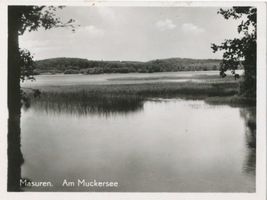  Masuren, Muckersee bei Alt Ukta Мазурия, озеро Мукер у Альт-Укта