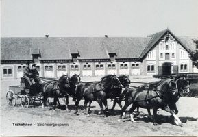 Groß Trakehnen, Kreis Ebenrode 