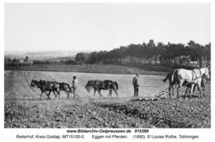 Reiterhof, Kreis Goldap 