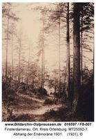 Finsterdamerau, Ort, Kreis Ortelsburg 