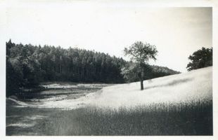 Liebemühl, Kreis Osterode Liebemühl, Faltianker See IV 