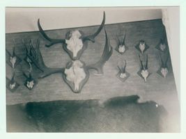 Hufenwald, Kreis Gerdauen 