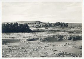 Kurische Nehrung, Dünenlandschaft VII Куршская коса, дюнный ландшафт, VII