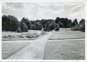 Königsberg (Pr.), Stadtkreis Königsberg Königsberg, Promenadenweg zum Hammerteich Кёнигсберг, прогулочная дорога к Гаммертайху