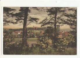 Nidden, Kreis Memel Nidden, Ortsansicht, farbig, VI 