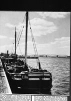 Tilsit, Stadt, Stadtkreis Tilsit 