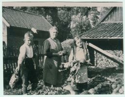 Schönlinde Kr. Gerdauen, Kreis Gerdauen 