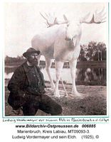 Marienbruch, Kreis Labiau 