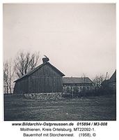 Moithienen, Kreis Ortelsburg 