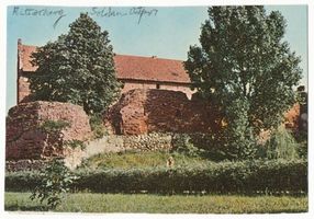 Soldau, Kreis Neidenburg Soldau, Schlossruine II Зольдау, руины замка, II