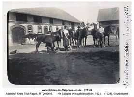 Adelshof, Kreis Tilsit-Ragnit 