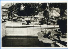 Königsberg (Pr.), Stadtkreis Königsberg Königsberg (Pr.), Tiergarten, Bären Königsberg, Tiergarten