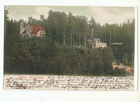 Zinten, Kreis Heiligenbeil Zinten, Waldschloss, II 