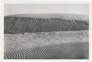  Kurische Nehrung, Dünen, Hohes Sandmassiv Kurische Nehrung, Dünen, Sandstrukturen