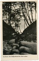Warnicken, Kreis Samland Warnicken, Wolfsschlucht V Варникен, Волчье ущелье, V