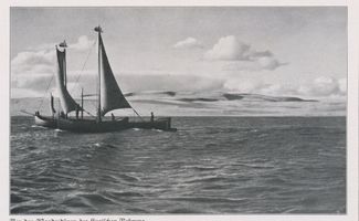  Kurische Nehrung, Vor der Wanderdüne Kurische Nehrung, Dünen