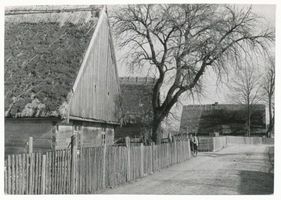  Litigainosee, Dorfstraße am See озеро Литигайно, Дорфштрассе у озера