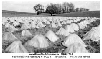 Freudenberg Kr. Rastenburg, Kreis Rastenburg 