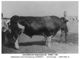 Heideckshof, Kreis Elchniederung 