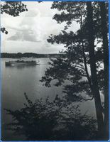  Niedersee, Auf dem Niedersee 