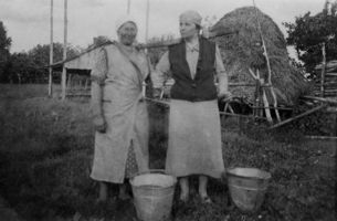 Haffwerder, Ort, Kreis Labiau Haffwerder, Heuhaufen 