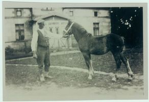 Schönlinde Kr. Gerdauen, Kreis Gerdauen 