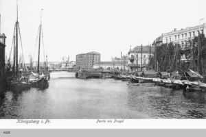 Königsberg (Pr.), Stadtkreis Königsberg 