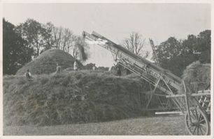 Podangen, Kreis Preußisch Holland Podangen, Erntearbeiten auf dem Gut II 