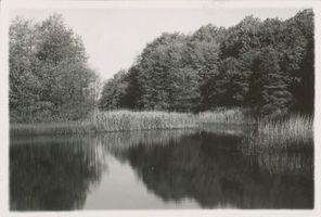  Spirdingsee,  Hechtwinkel  Masurische Seen