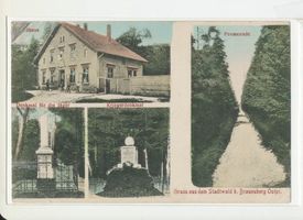 Braunsberg Kr. Braunsberg, Kreis Braunsberg Braunsberg, Stadtwald, 4 Motive Браунсберг, городской лес, 4 мотива
