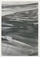  Kurische Nehrung, Dünen, scharfe, windgeschliffene Formen, Landschaft an der Ostseite Kurische Nehrung, Dünen, Sandstrukturen