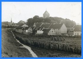 Goldap, Kreis Goldap 