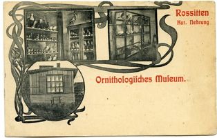 Rossitten Kr. Samland, Kreis Samland 