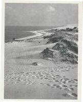  Kurische Nehrung, Dünen, Nehrungslandschaft am Haff Куршская коса, дюны, пейзаж косы у залива