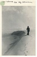  Kurische Nehrung, Spuren im Dünensand VI Kurische Nehrung, Dünen
