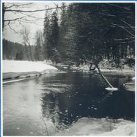 Rominter Heide, Winterbild, An der Rominte 